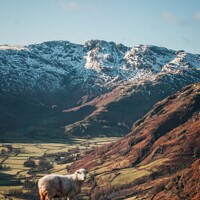 Buy canvas prints of The Langdale Valley by Gary Richardson