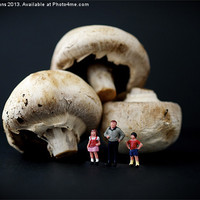 Buy canvas prints of The borrowers and the mushrooms by Roy Evans