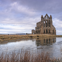 Buy canvas prints of  Whitby Abbey by Dave Evans