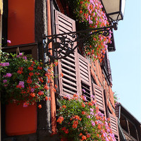 Buy canvas prints of Alsace, France, window box flowers by Christopher Mullard