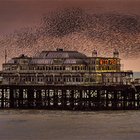 Buy canvas prints of West Pier Starlings, Brighton by Ashley Chaplin