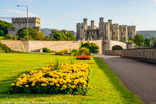 Conwy Castle: A Medieval Marvel in Wales Picture Board by Mike Shields
