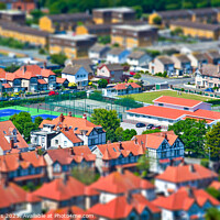Buy canvas prints of Miniature Courts Amidst Verdant Rooftops by Mike Shields
