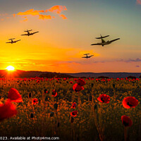 Buy canvas prints of Flight Tribute over Poppy Meadows by Mike Shields