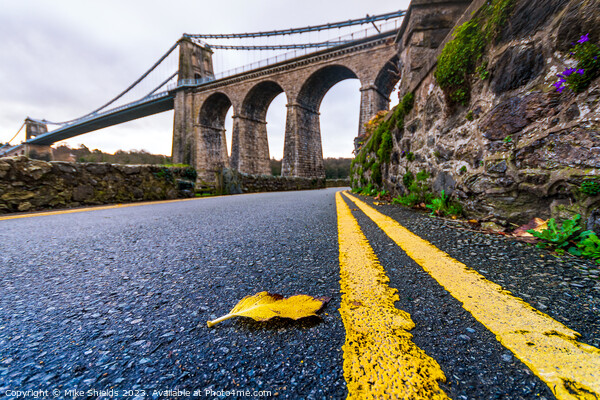 Menai Suspension Bridge from a different angle  Picture Board by Mike Shields