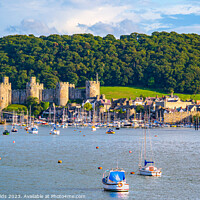 Buy canvas prints of Conwy Castle and Harbour in North Wales UK by Mike Shields
