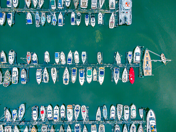 Boat Filled Marina. Picture Board by Mike Shields