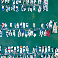 Buy canvas prints of Boat Filled Marina. by Mike Shields
