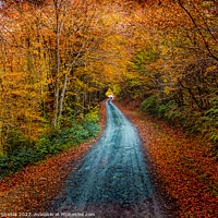 Buy canvas prints of An Autumn Path by Mike Shields