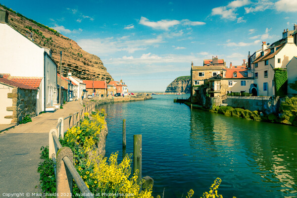 Staithes Beck Picture Board by Mike Shields