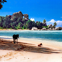 Buy canvas prints of Seychelles Beach Horses by Mike Shields