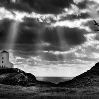 Buy canvas prints of Guiding Light on Llanddwyn Island by Mike Shields