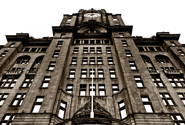 Liver Building's Skyward Gaze Picture Board by Mike Shields