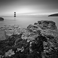 Buy canvas prints of Puffin Island's Luminous Beacon by Mike Shields
