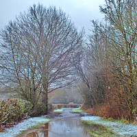 Buy canvas prints of Tree Lined Waterway by philip clarke