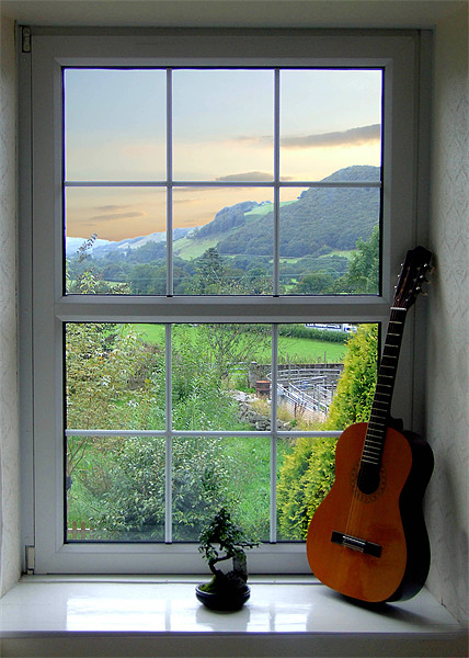 Bonsai and Spanish Guitar Window Framed Print by philip clarke