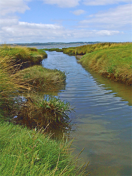 Salt Marsh Stream Picture Board by philip clarke