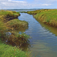 Buy canvas prints of Salt Marsh Stream by philip clarke