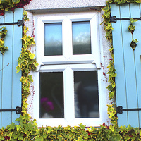 Buy canvas prints of Country Cottage Window surrounded by Ivy by philip clarke