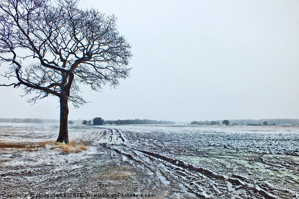 Winter Snow on  Farmland Picture Board by philip clarke