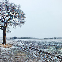Buy canvas prints of Winter Snow on  Farmland by philip clarke