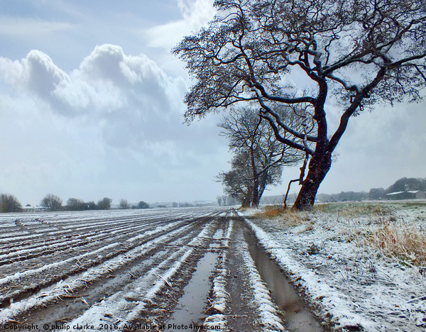Winter Snow covered  Farmland Picture Board by philip clarke