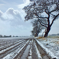 Buy canvas prints of Winter Snow covered  Farmland by philip clarke