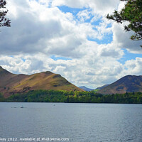 Buy canvas prints of Catbells Lake District by Anthony Kellaway