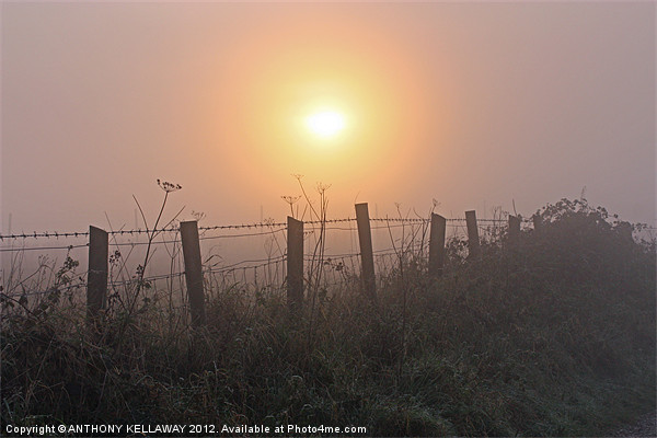 Sunset in the fog at Winchester Hill Picture Board by Anthony Kellaway