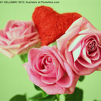 Buy canvas prints of PINK VALENTINE ROSES WITH HEART by Anthony Kellaway