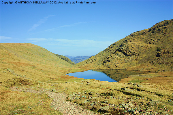 LAKE DISTRICT BLENCATHRA TARN Picture Board by Anthony Kellaway