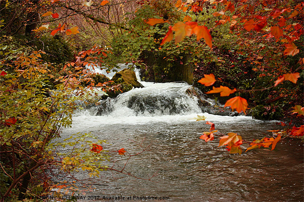 RIVER ITCHEN WATERFALL IN AUTUMN Picture Board by Anthony Kellaway