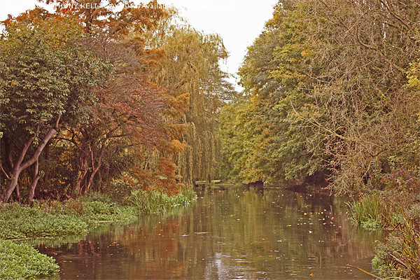 River Itchen in autumn Picture Board by Anthony Kellaway