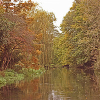 Buy canvas prints of River Itchen in autumn by Anthony Kellaway