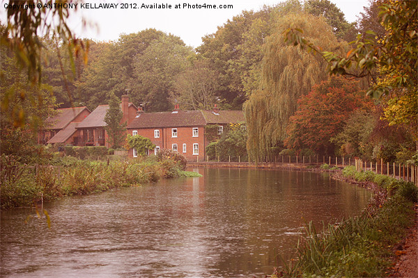 river itchen cottages Picture Board by Anthony Kellaway
