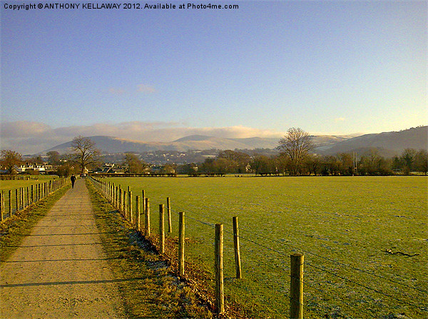THE PATH KESWICK TO PORTINSCALE Picture Board by Anthony Kellaway