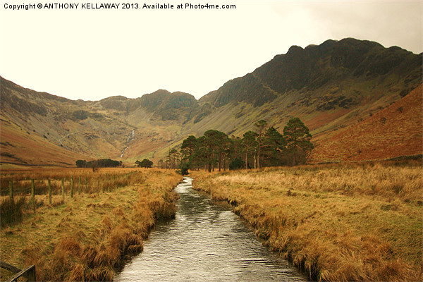 HAYSTACKS FROM PEGGYS BRIDGE Picture Board by Anthony Kellaway