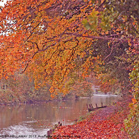 Buy canvas prints of ITCHEN NAVIGATION IN AUTUMN by Anthony Kellaway