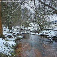 Buy canvas prints of NEW FOREST STREAM SNOW SCENE by Anthony Kellaway