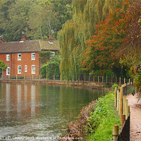 Buy canvas prints of RIVER ITCHEN COTTAGE IN AUTUMN by Anthony Kellaway