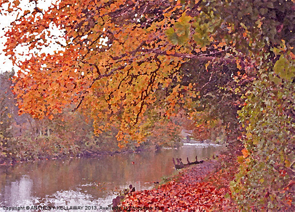 RIVER ITCHEN IN AUTUMN OIL. Picture Board by Anthony Kellaway