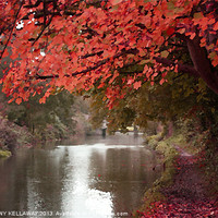 Buy canvas prints of ITCHEN NAVIGATION AUTUMN OILS by Anthony Kellaway