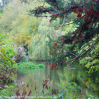 Buy canvas prints of RIVER ITCHEN IN AUTUMN PAINTING by Anthony Kellaway