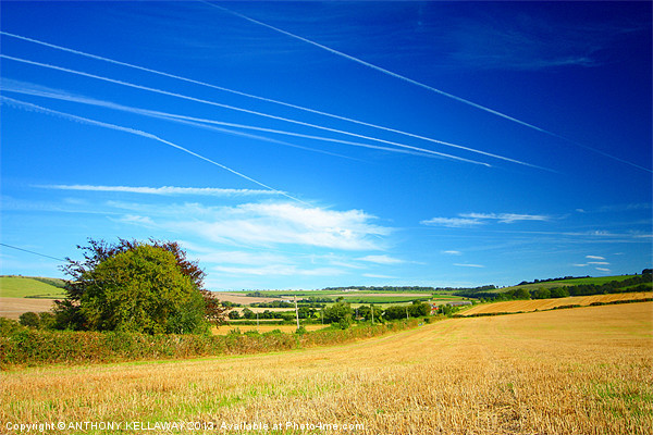 VAPOUR TRAILS HAMPSHIRE Picture Board by Anthony Kellaway