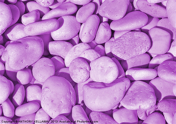 LILAC PEBBLES Picture Board by Anthony Kellaway