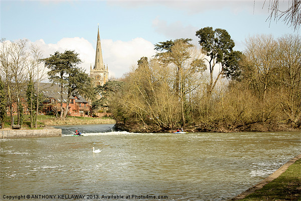 STRATFORD UPON AVON RIVER SCENE Picture Board by Anthony Kellaway
