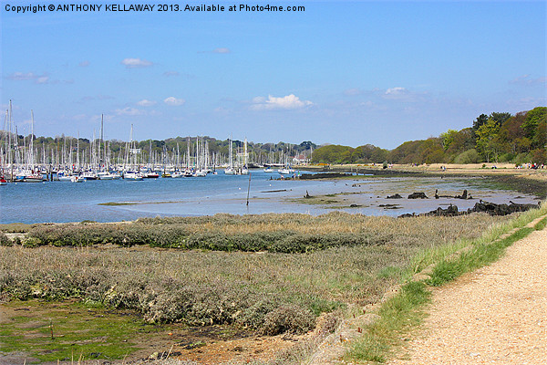 River Hamble Picture Board by Anthony Kellaway