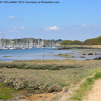 Buy canvas prints of River Hamble by Anthony Kellaway