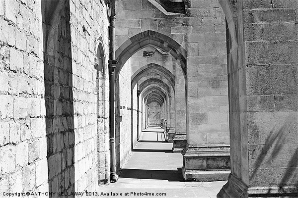 Curles Passage  Winchester Cathedral Picture Board by Anthony Kellaway