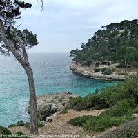 Buy canvas prints of THE PATH TO CALA CALANGA by Anthony Kellaway